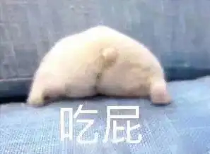 今日表情推荐,109