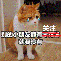 超凶猫咪摆地摊卖瓜,生意却离奇的好,猫不买就挠你哟