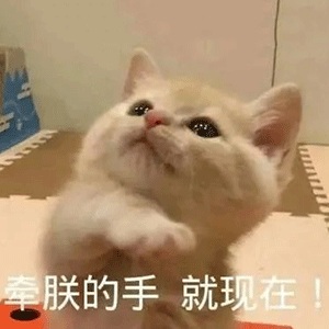 表情包来晚了,开启元气满满的周末吧