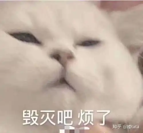 如何评价电视剧女世子
