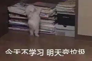 暑假火葬场,开学一直爽当学霸也太飒了叭