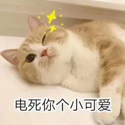 有什么适用于和老公男票撒娇的可爱表情包