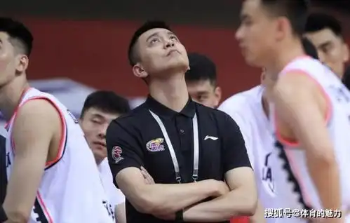 主教练杨鸣为什么还有心思,带着辽篮去游山玩水呢