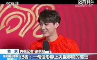 李易峰上春晚接受央视采访化身表情包,还自曝很有偶像包袱