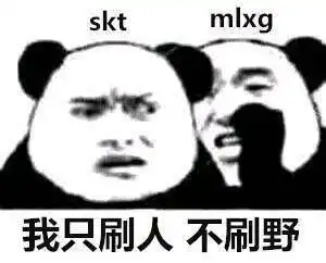 lpl洲际赛夺冠后,360度玩梗粉丝齐上线喂,你的表情包掉了,是你的才对