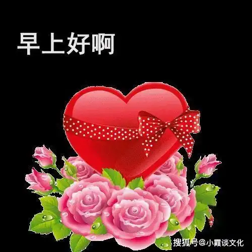 搜狐网