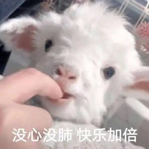 如何聊天,特别是开场白