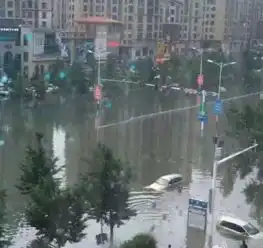暴雨表情包
