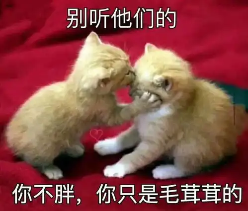 给猫买了个缝隙很小的笼子,以为万无一失,却被瞬间打脸