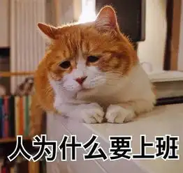 我们口中的热爱工作,都只活在表情包里