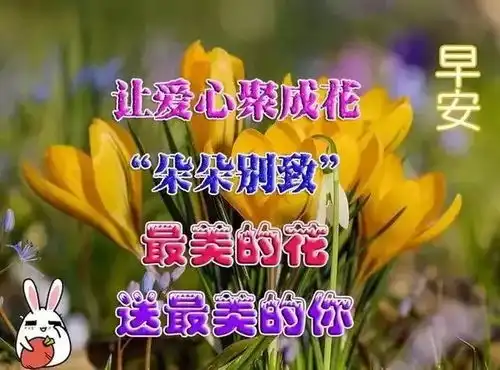 眼里长着太阳,笑里全是坦荡,早安