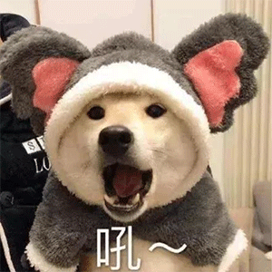 李佳琦申请商标上热搜丨omg买它奈娃家族...
