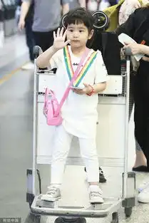 组图表情包又有新素材包贝尔女儿饺子站行李车忙搞怪
