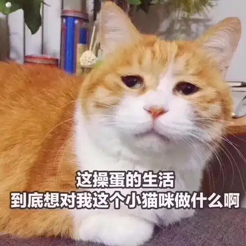 heyyoupickme