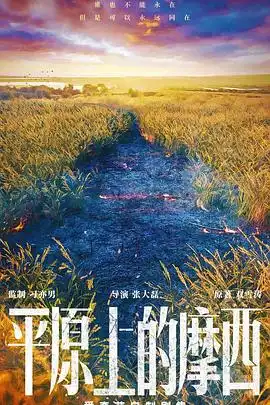 槽边往事的推荐