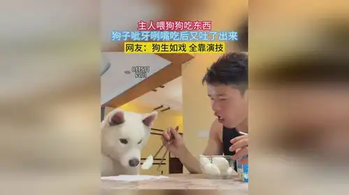 主人喂狗狗吃东西,狗子呲牙咧嘴吃后又吐了出来