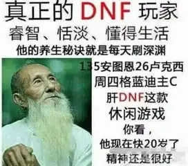 dnf表情包dnf真的很休闲的