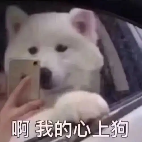 热门表情包图片看见我额头的666了吗