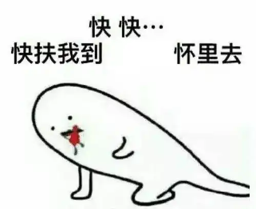 那些支撑我活下去的表情包