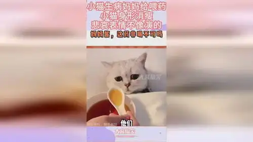 小猫生病妈妈给喂药,小猫身形消瘦,悲哀表情不像演的