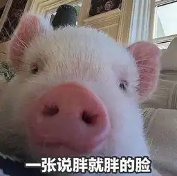 熊猫头表情我可是个好孩子,你别带坏了我
