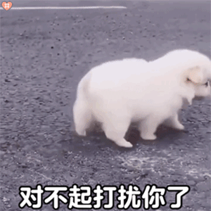 表情包恶搞斗图