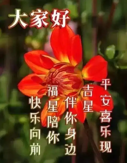 10月15日清晨问候表情图片,周五早上问候温馨祝福语图片