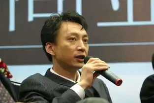 双十一二选一,阿里王帅说是伪命题