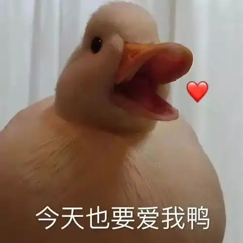 一周e见今天也要和大佬们一起冲鸭