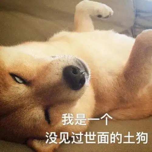 笑话段子一般穿这个码数的人都超过一米八了,谁还买内增高呢