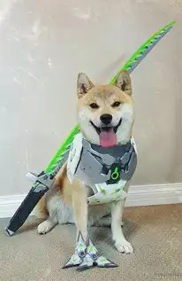 doge版守望先锋源氏cos口叼长刀简直6的飞起