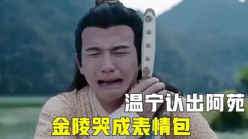 温宁认出阿苑,金陵思念被他杀害的父亲,哭成表情包我的爱豆在发光第三期