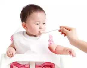 宝宝固体辅食喂养攻略