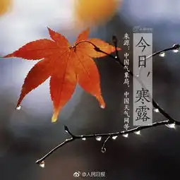 今日寒露,该考虑翻出秋裤君了