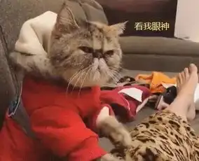 今年最火的单品怎么穿才好看