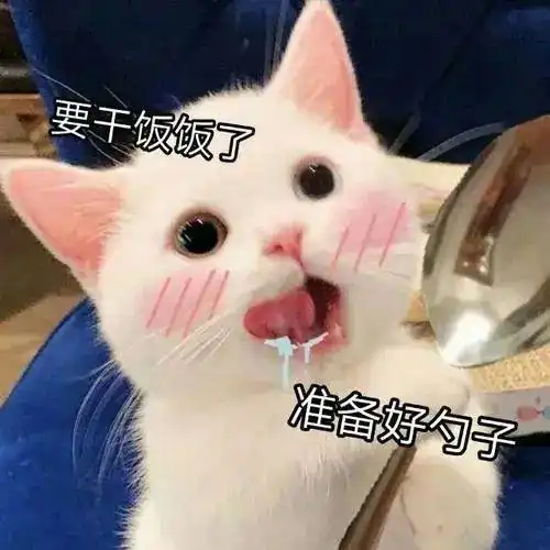 二哈生吞10斤狗粮,差点把肚子撑破,主人曾吞过2斤石头