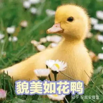 你吃烤鸭,我只吃皮