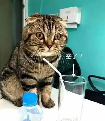 猫咪用吸管喝水喝不到,看到主人一口气喝完后,表情逗笑全家人