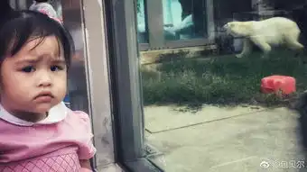 组图包贝尔晒女儿萌照饺子比v大笑满脸愁容表情包一枚