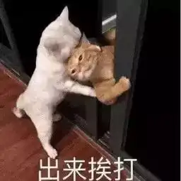 为了一个猫爪杯打起来了,这个网红杯子深圳还有吗