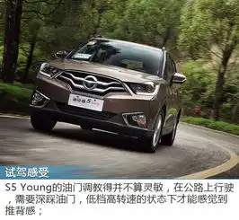 行走的表情包九龙湖试驾海马s5young
