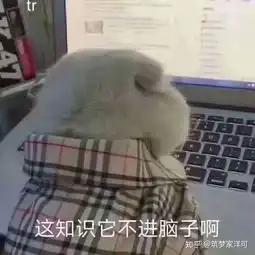 大二学生,计算机科学与技术专业,学到数据结构和组原有点心态爆炸了,看不懂敲不出代码,还有救吗