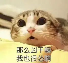 吓哭居民门外惊现肌肉袋鼠疯狂敲窗