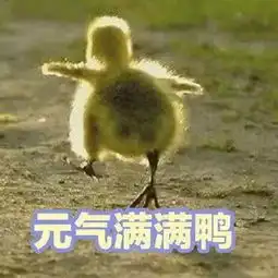 一组元气满满的表情包
