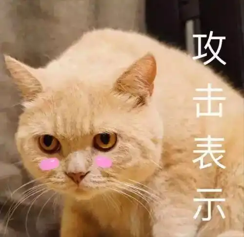 栋察楼市早报1.32018房价不涨房租涨