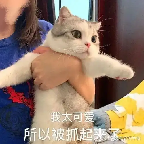 如何霸气地阻止别人微信拍一拍你