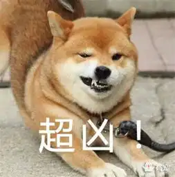 放开那只柴犬,让我来