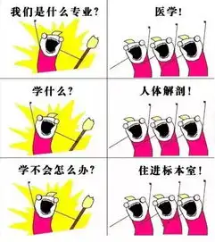 我们是谁大学各专业表情包集锦最全版,总有一款适合你