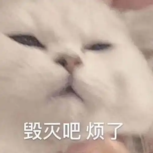 高老师你号没了