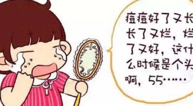 连皮脂腺都不知道,难怪你皮肤长痘痘